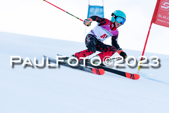 2. SVM Cup Willi-Wein-Gedächtnisrennen, RS, 06.01.2023