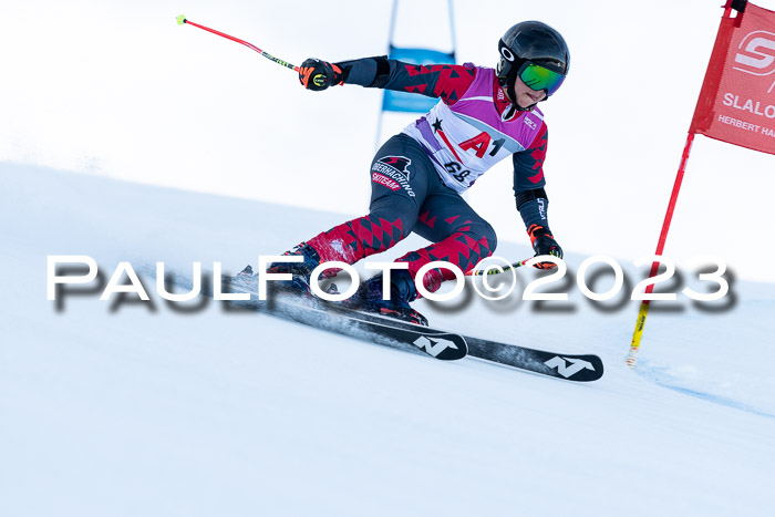 2. SVM Cup Willi-Wein-Gedächtnisrennen, RS, 06.01.2023
