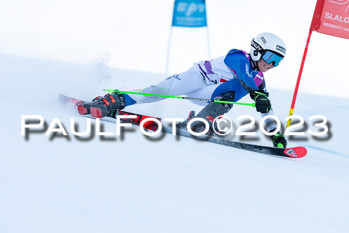 2. SVM Cup Willi-Wein-Gedächtnisrennen, RS, 06.01.2023