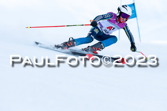 2. SVM Cup Willi-Wein-Gedächtnisrennen, RS, 06.01.2023