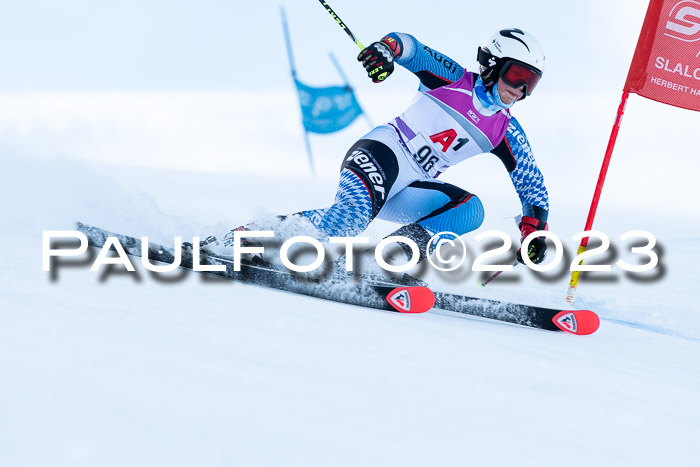 2. SVM Cup Willi-Wein-Gedächtnisrennen, RS, 06.01.2023