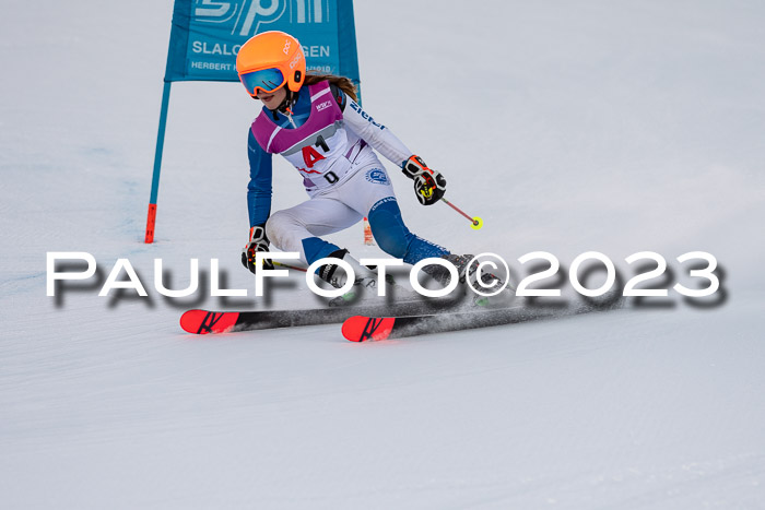 2. SVM Cup Willi-Wein-Gedächtnisrennen, RS, 06.01.2023