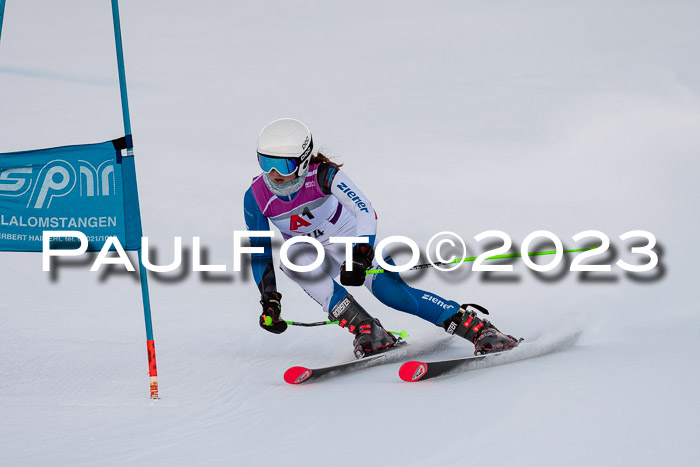 2. SVM Cup Willi-Wein-Gedächtnisrennen, RS, 06.01.2023