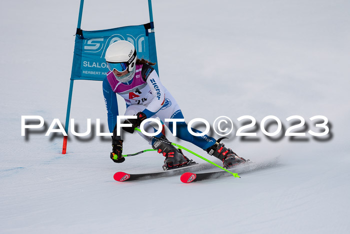 2. SVM Cup Willi-Wein-Gedächtnisrennen, RS, 06.01.2023