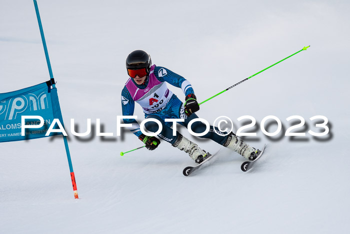 2. SVM Cup Willi-Wein-Gedächtnisrennen, RS, 06.01.2023