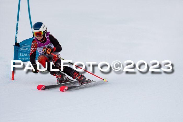 2. SVM Cup Willi-Wein-Gedächtnisrennen, RS, 06.01.2023