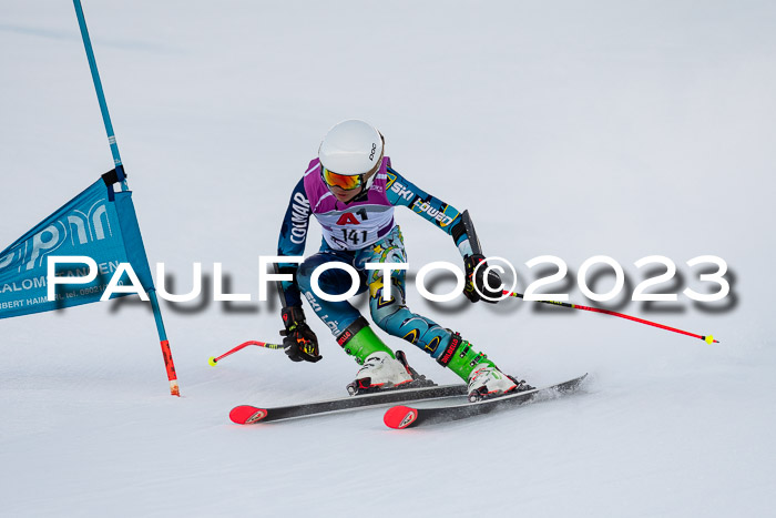 2. SVM Cup Willi-Wein-Gedächtnisrennen, RS, 06.01.2023