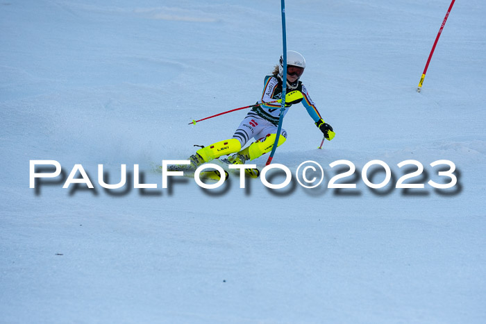 FIS Slalom + NJC Damen + FIS Herren 22.02.2020