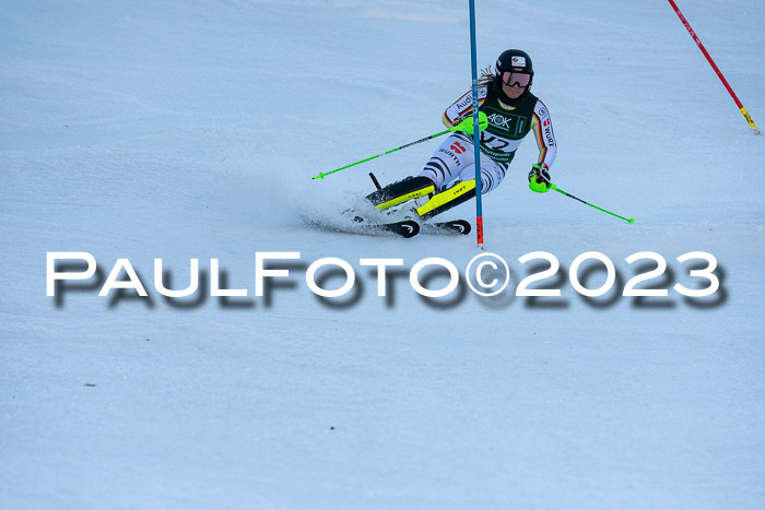 FIS Slalom + NJC Damen + FIS Herren 22.02.2020