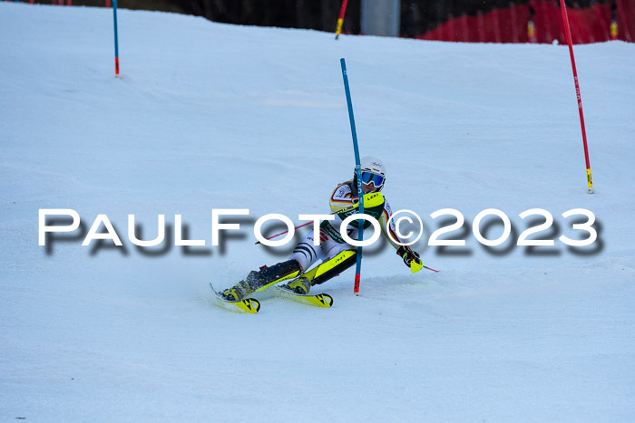 FIS Slalom + NJC Damen + FIS Herren 22.02.2020