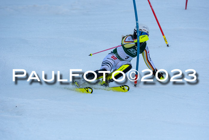 FIS Slalom + NJC Damen + FIS Herren 22.02.2020