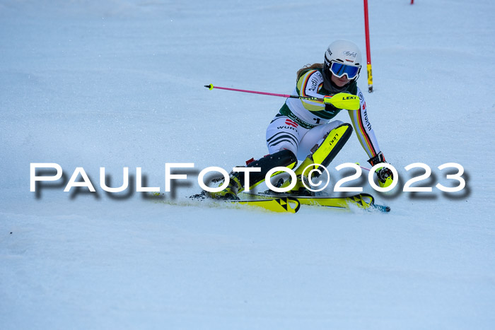 FIS Slalom + NJC Damen + FIS Herren 22.02.2020