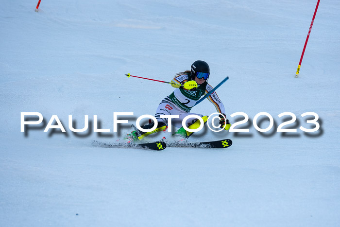 FIS Slalom + NJC Damen + FIS Herren 22.02.2020