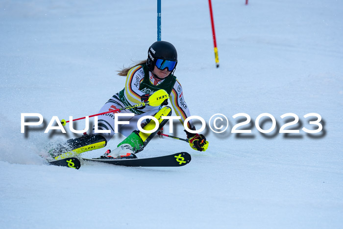 FIS Slalom + NJC Damen + FIS Herren 22.02.2020