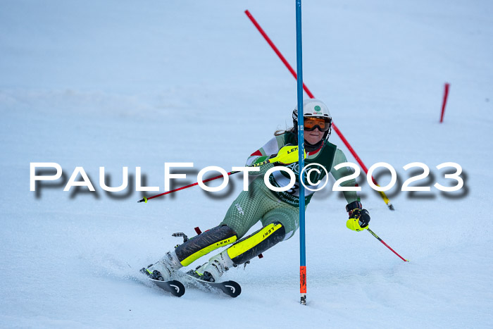 FIS Slalom + NJC Damen + FIS Herren 22.02.2020