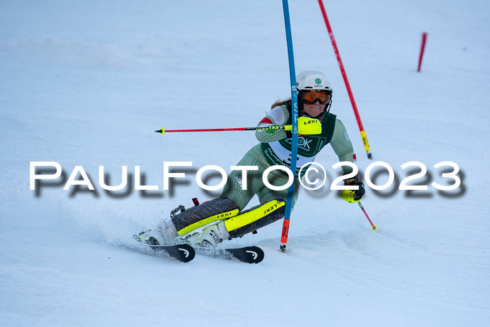 FIS Slalom + NJC Damen + FIS Herren 22.02.2020