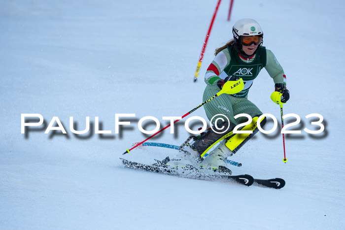 FIS Slalom + NJC Damen + FIS Herren 22.02.2020