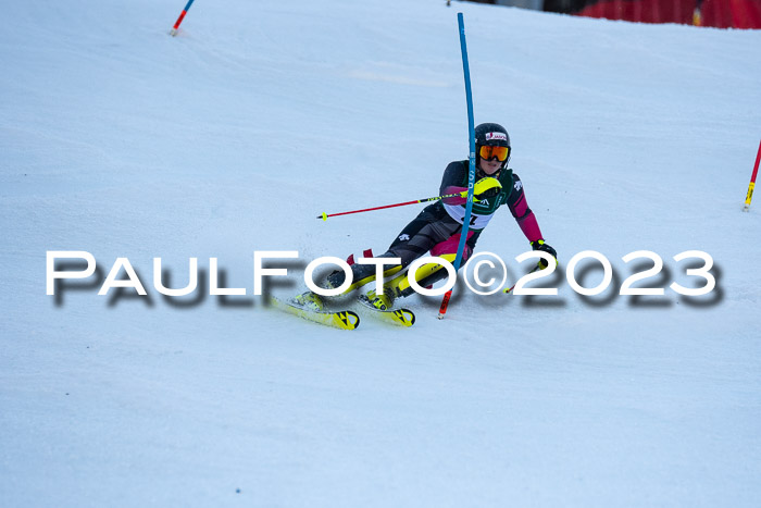 FIS Slalom + NJC Damen + FIS Herren 22.02.2020