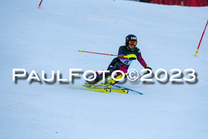 FIS Slalom + NJC Damen + FIS Herren 22.02.2020