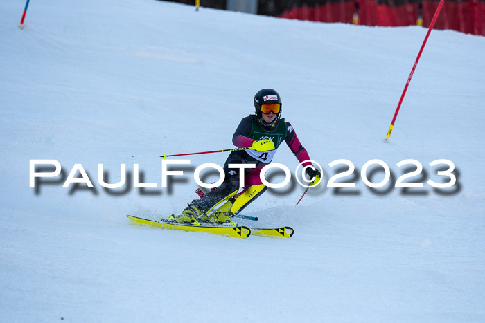 FIS Slalom + NJC Damen + FIS Herren 22.02.2020