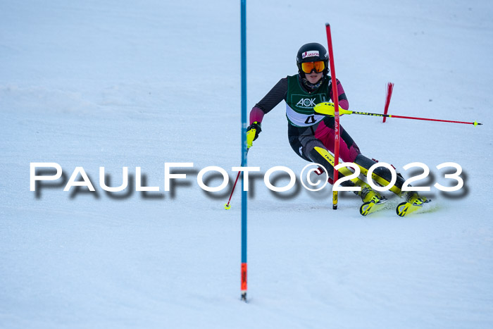 FIS Slalom + NJC Damen + FIS Herren 22.02.2020