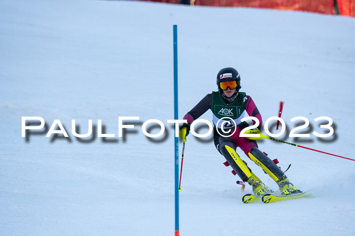 FIS Slalom + NJC Damen + FIS Herren 22.02.2020