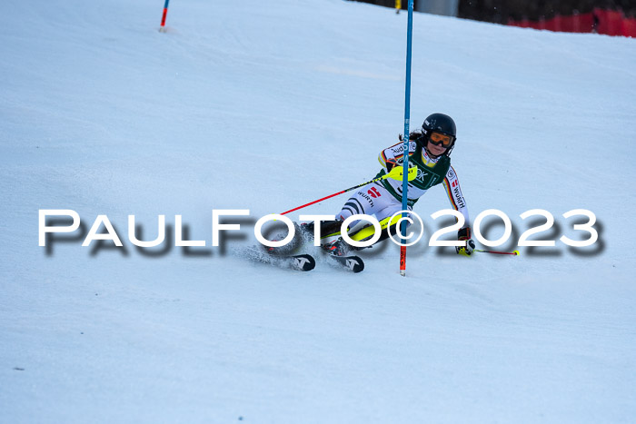 FIS Slalom + NJC Damen + FIS Herren 22.02.2020