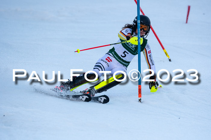 FIS Slalom + NJC Damen + FIS Herren 22.02.2020