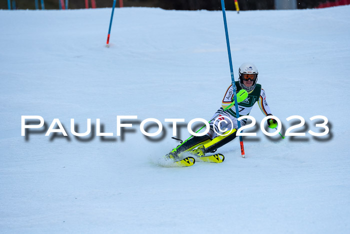 FIS Slalom + NJC Damen + FIS Herren 22.02.2020