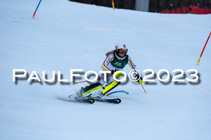 FIS Slalom + NJC Damen + FIS Herren 22.02.2020