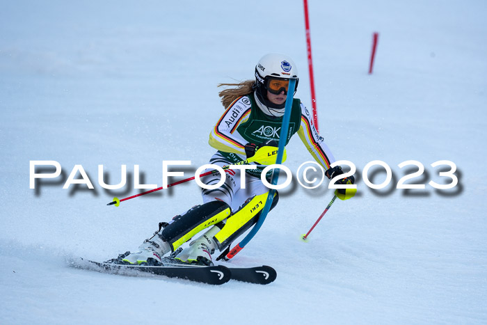 FIS Slalom + NJC Damen + FIS Herren 22.02.2020