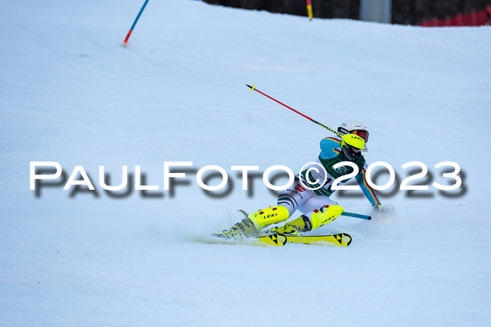 FIS Slalom + NJC Damen + FIS Herren 22.02.2020