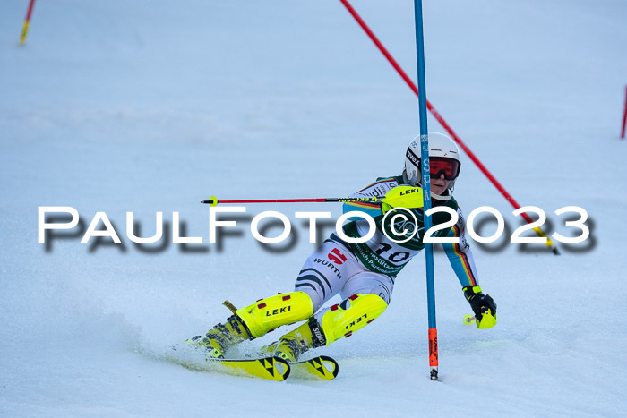 FIS Slalom + NJC Damen + FIS Herren 22.02.2020