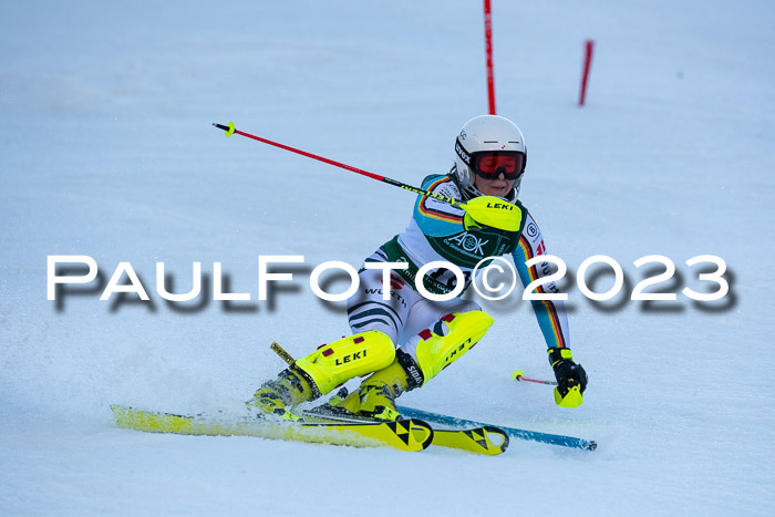 FIS Slalom + NJC Damen + FIS Herren 22.02.2020