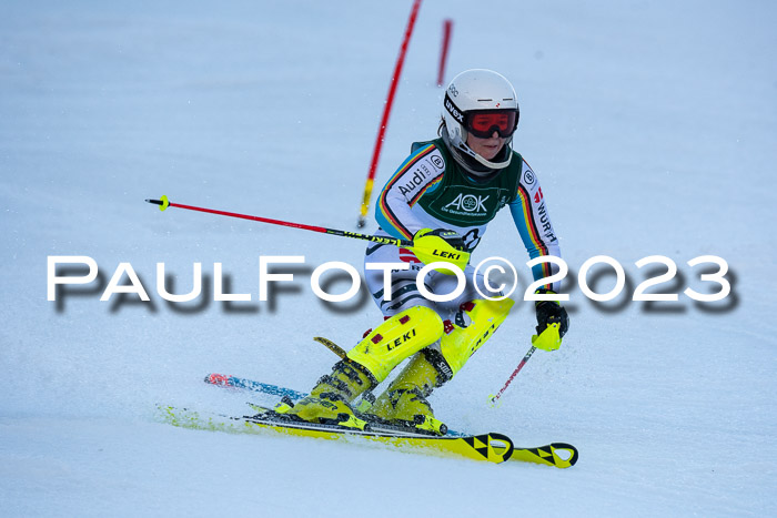 FIS Slalom + NJC Damen + FIS Herren 22.02.2020