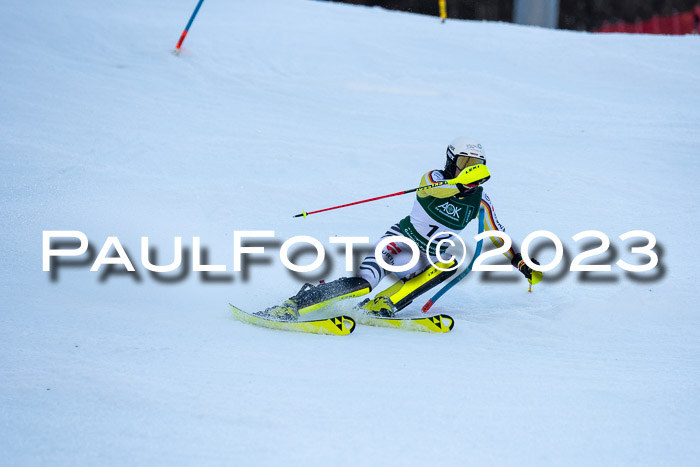 FIS Slalom + NJC Damen + FIS Herren 22.02.2020