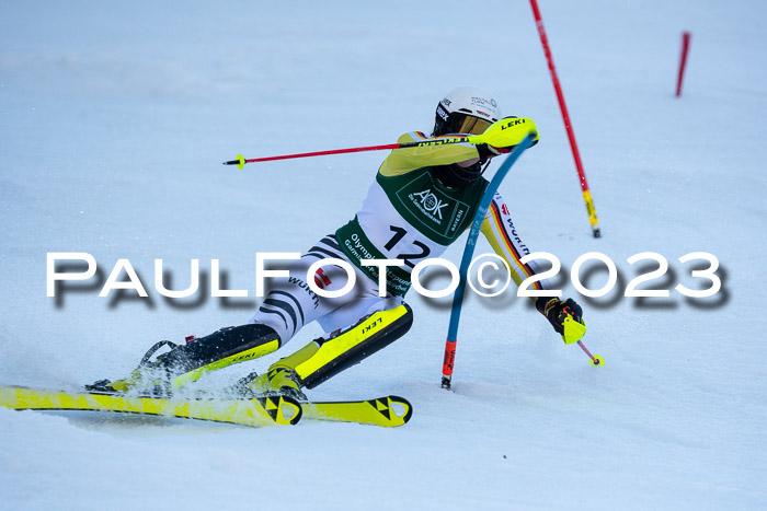 FIS Slalom + NJC Damen + FIS Herren 22.02.2020
