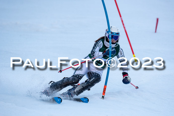 FIS Slalom + NJC Damen + FIS Herren 22.02.2020