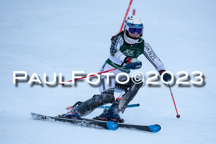 FIS Slalom + NJC Damen + FIS Herren 22.02.2020