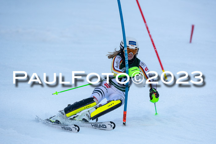 FIS Slalom + NJC Damen + FIS Herren 22.02.2020