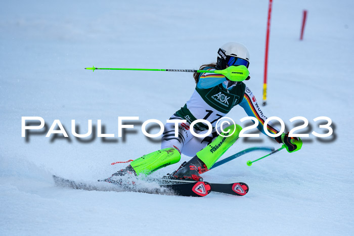 FIS Slalom + NJC Damen + FIS Herren 22.02.2020