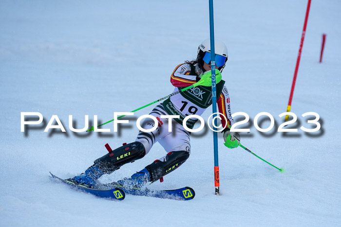 FIS Slalom + NJC Damen + FIS Herren 22.02.2020