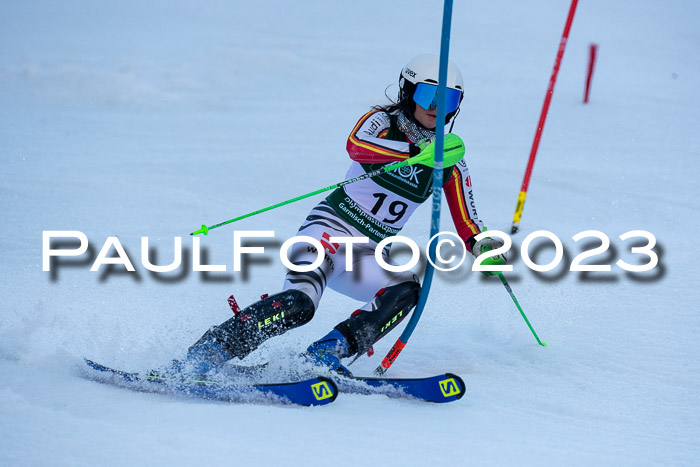 FIS Slalom + NJC Damen + FIS Herren 22.02.2020