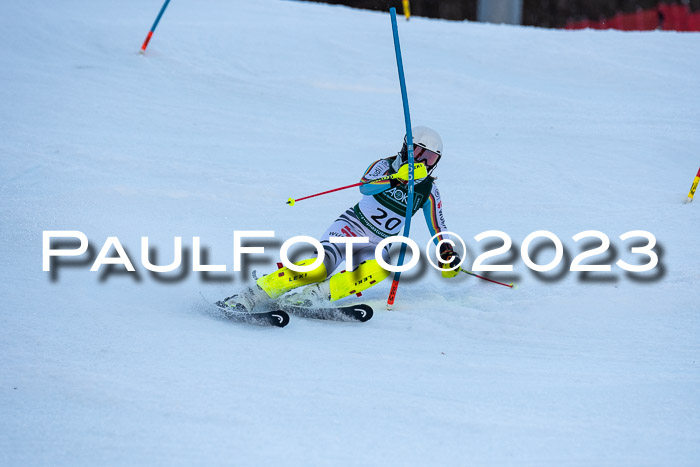 FIS Slalom + NJC Damen + FIS Herren 22.02.2020
