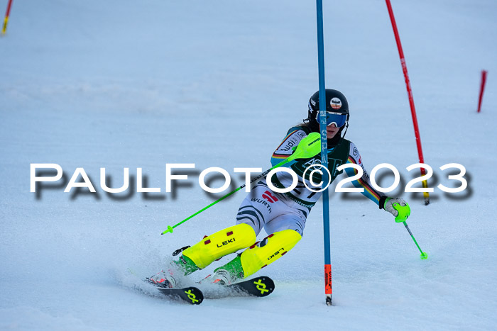 FIS Slalom + NJC Damen + FIS Herren 22.02.2020