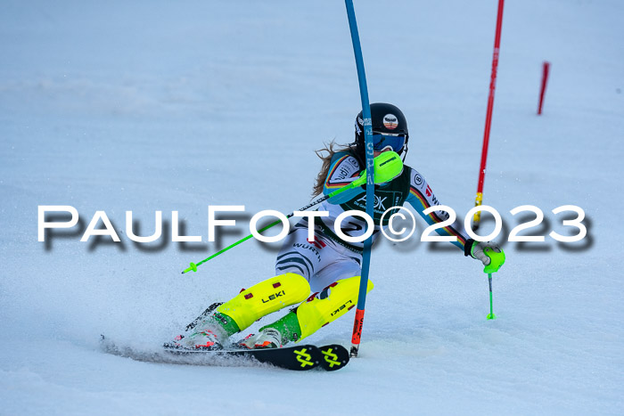 FIS Slalom + NJC Damen + FIS Herren 22.02.2020