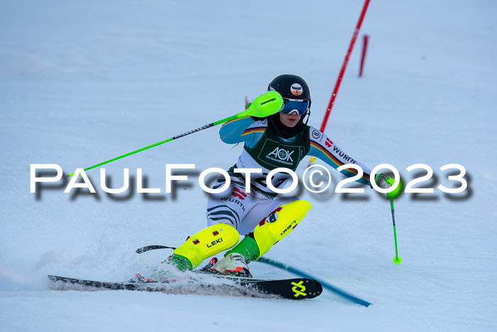 FIS Slalom + NJC Damen + FIS Herren 22.02.2020