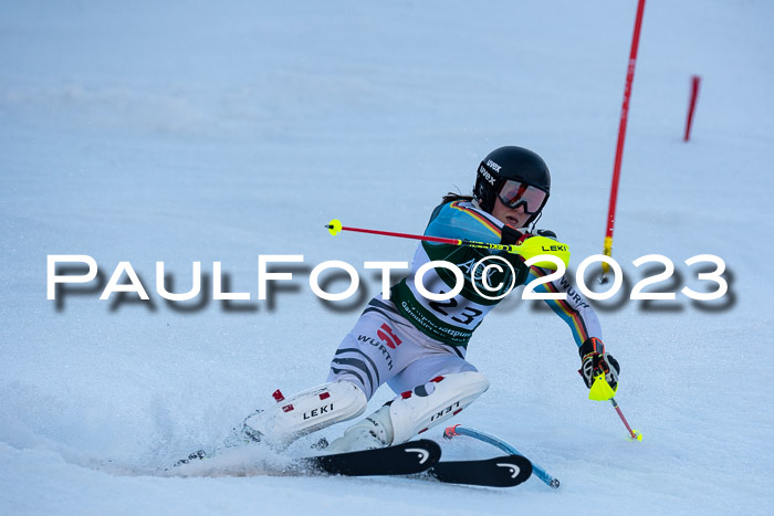 FIS Slalom + NJC Damen + FIS Herren 22.02.2020