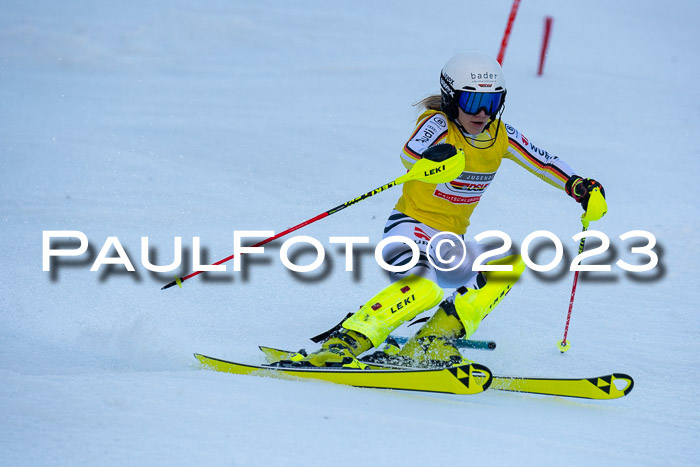 FIS Slalom + NJC Damen + FIS Herren 22.02.2020