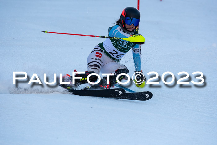 FIS Slalom + NJC Damen + FIS Herren 22.02.2020